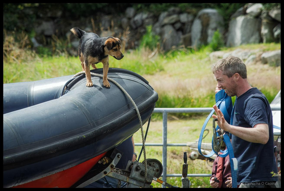A small brown and black dog stands proudly on top of a black inflatable boat on a trailer whilst a man in navy t-shirt and carrying straps prepares the boat for transport, with green grass and rocky wall visible in the blurred background.