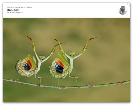 CEWE Photo Award 2025!
"Our World is beautiful"

Danlock by Hasan Baglar 