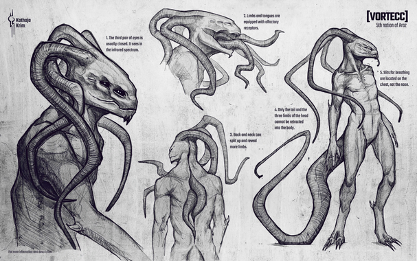 A page with four drawings of a reptilian alien, the Vortecc, with a long tail and three bendy limbs on their head. There is one bust to the left, a full-body to the right, a small close-up of the face on the top (with lots of tongues bursting out of their mouth) and a small close up of their back on the bottom (it shows how the back can split up and reveal more limbs). Text on page: [Vortecc], 5th nation of Araz. 1. The third pair of eyes is usually closed. It sees in the infrared spectrum. 2. Limbs and tongues are equipped with olfactory receptors. 3. Back and neck can split up and reveal more limbs. 4. Only the tail and the three limbs of the head cannot be retracted into the body. 5. Slits for breathing are located on the chest, not the nose.