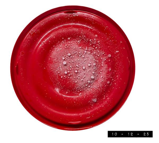 Inner view of the top lid of a Rubbermaid Tupperware-like container.  It's about 7.75" in diameter.  The clear plastic bowl it goes with holds 6.2 cups.  Ice crystals are apparent because I've been using this particular container to hold the large round ice balls I took a photo of back on Aug 13 and have previously shared.  Tupperware containers famously have to be burped.  This Rubbermaid knock-off version  seems to be self-burping.  (At least that's what I think is responsible for the funny noises my freezer has been making in the night.)  NOTE: Tupperware containers are NOT to be confused with Tupperwear clothing even though both keep what's inside fresh for about 6 months.  

https://mastodon.social/@LifeInTheRound/115115755963160067  