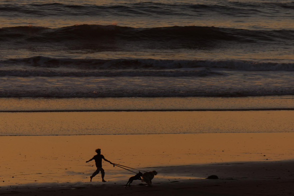 A boy runs with his dogs as the sun sets along Cardiff state beach in California.