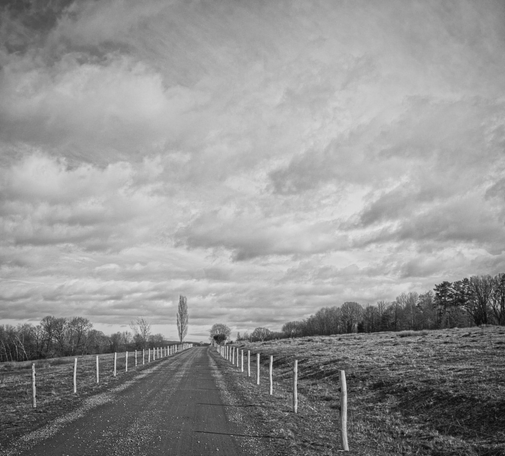 Man sieht einen geraden Weg. Rechts und links sind Wiesen und auch kleine Wälder eingezäunt. Dort auf dem Langenhard werden die vor dem Aussterben bedrohten Hinterwälder-Rinder gehalten. Diese gehören zu einer alten, vom Aussterben bedrohten Nutztierrasse aus dem Schwarzwald. Ein großer Anteil dieser hochkant Aufnahme zeigen verschieden weiß/graue Wolken am Himmel. Das Foto ist in Schwarzweiß. 