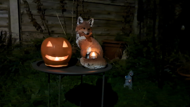 “Come, little leaves," said the Wind one day, "Come to the meadows with me and play. Put on your dresses of red and gold; For Summer is past, and the days grow cold.” ― George Cooper
