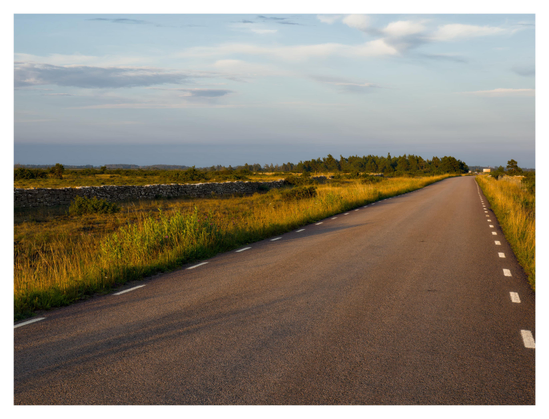 En liggande bild på en asfalterad väg på Alvaret på Öland i mjukt kvällsljus. Gräs och låga träd och buskar på båda sidor. Himmelen är lust turkos med små moln här och där.