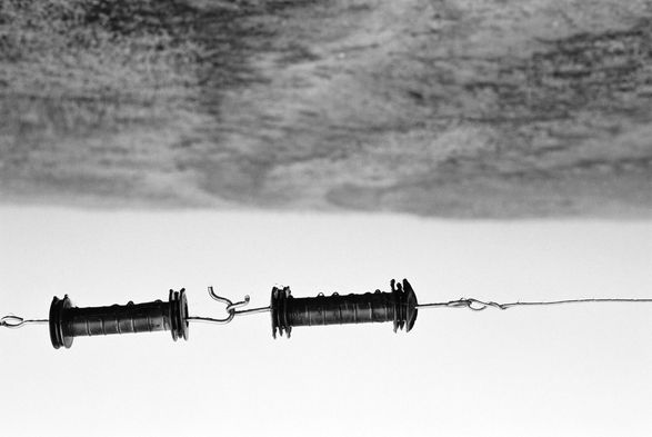 Two electric fence gate handles hooked together. (Version françæ) Deux poignées d’æn portail de clôture électrique accrochæs par leurs crochets.