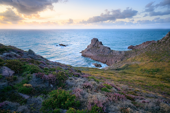 Zu sehen ist eine Szenerie an der Meeresküste mit Heide im Vordergrund, Felsküste im Mittelgrund und einem bewölkten Sonnenuntergang im HIntergrund.