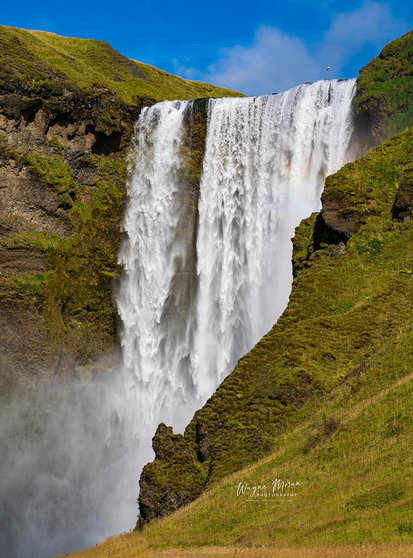 Power and Light – Skógafoss Waterfall, South Iceland

The mighty Skógafoss plunges with thunderous force down a sheer cliff, framed by lush green hills and glowing beneath a perfect Icelandic blue sky. Mist rises from the impact below, catching the sunlight just enough to reveal a faint rainbow—a fleeting glimpse of light within the power of nature.

Located on Iceland’s southern coast along the Skógá River, Skógafoss stands 60 meters (197 feet) tall and 25 meters (82 feet) wide. Once part of Iceland’s ancient sea cliffs, it now marks where the shoreline once met the land, a reminder of the island’s ever-changing landscape. The waterfall lies near the edge of Katla Geopark, a UNESCO Global Geopark renowned for its glaciers, volcanoes, and breathtaking scenery.

Skógafoss has captured the imagination of travelers, photographers, and filmmakers alike, appearing in Thor: The Dark World and The Secret Life of Walter Mitty. It’s more than a natural wonder—it’s a place where you can feel the power of creation itself, a reminder of God’s majesty expressed through the raw beauty of Iceland.

Image:
https://fineartamerica.com/featured/power-and-light-skogafoss-waterfall-south-iceland-wayne-moran.html

Read more:
https://waynemoranphotography.com/blog/chasing-light-across-iceland-our-21-day-adventure/

#Skógafoss #Skogafoss #Waterfall #Iceland #travelPHotogrpahy #Landscape #art #fineart 

#ayearforart #buyintoart