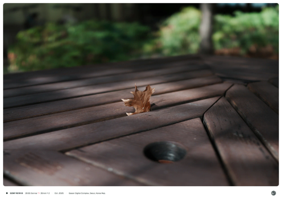 나무로 된 길거리 벤치테이블 사이에 낙엽 하나가 껴 있는 모습.