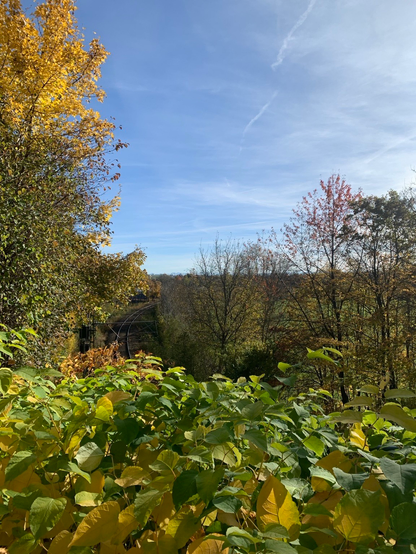 Blick von München in Richtung der Berge Alpen. Im Vordergrund bunte Sträucher.