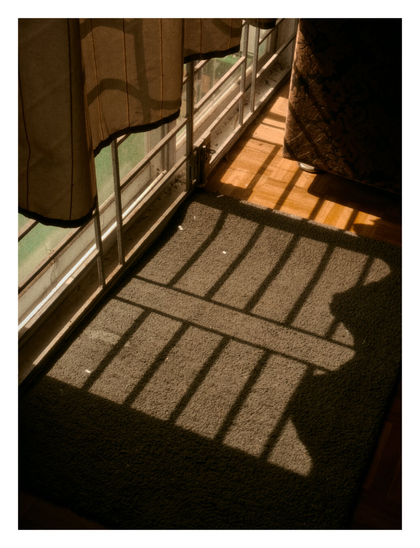 A gray, textured rug on a wooden floor. Strong sunlight streams in from a patio door, creating a distinct pattern of shadows from railings onto the rug and floorboards. A curtain is visible on the left side, and a side part of the couch is seen in the top right corner. - Google Lens' AI Overview