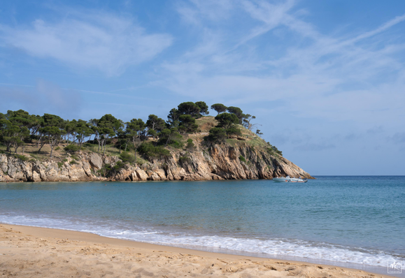 Color photo of a seascape with a sandy beach in the foreground and a rocky headland with a few trees on top extending into the sea on the left side of the photo. 