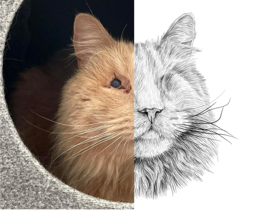 Black and white drawing of a cat named Ziggy, with the left half of the image being the reference.