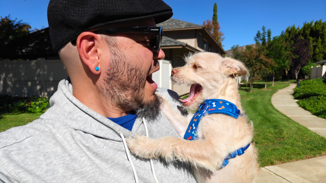 Photo of me and my pup. Caught him yawning, but it kinda looks like we're yelling "wazzup" at each other. 