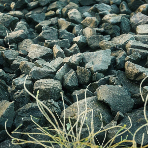 Large shoreline rocks fill most of the frame and trail off into the distance, as a small patch of seagrass pops up from the bottom of the frame.