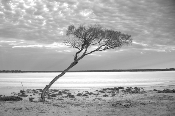 This salt lake in South Australia doesn't even have a name. It is 'officially' part of Lake Gardner, but stands alone, waiting for rain. Nothing moves here apart from the bush flies, blown to their doom by the prevailing winds.
