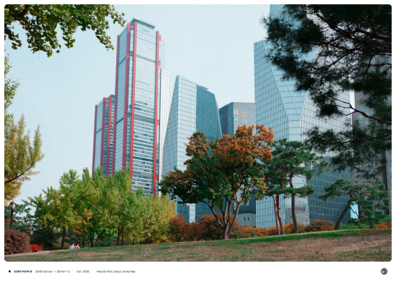 단풍 든 나무가 무성한 여의도공원의 뜰 위로 거대한 여의도 빌딩이 여러 채 보이는 모습. 두 사람이 뜰에 앉아 빌딩 쪽을 올려보고 있다.