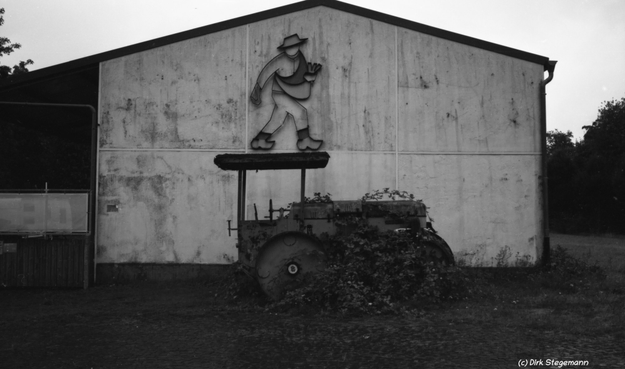 Gesehen an der Radbahn im Münsterland bei Horstmar.