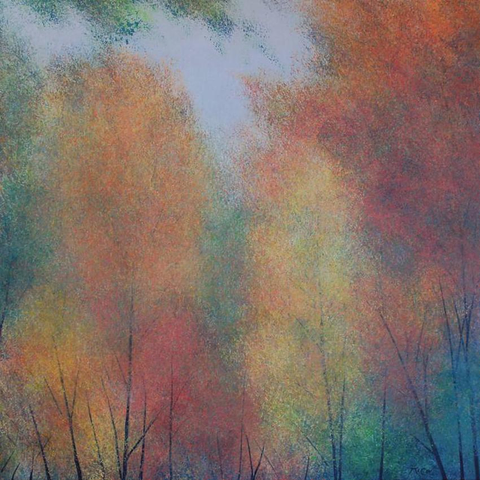 A scene of towering trees in their autumnal finery of red, orange and yellow in misty low light. The green of other trees and bushes can be seen behind and underneath them.