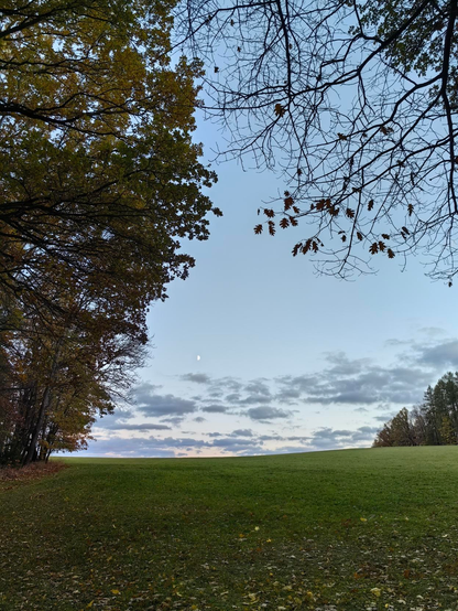 Blick auf eine Wiese umrandet mit Bäumen. Am Horizont ist der Mond zu sehen.