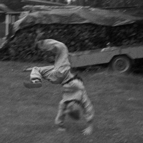 A blurred black-and-white image shows a kid in mid-cartwheel on grass. A covered woodpile and trailer are in the background.