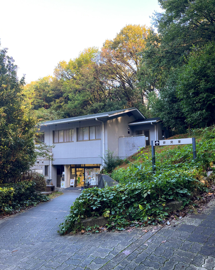 Un pequeño edificio de dos alturas rodeado de mucho verde. En la planta baja hay algo parecido a una tienda.