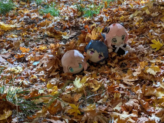 Three plushies in golden leaves