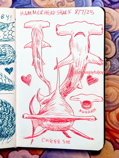 Sketchbook page of 4 drawings of Hammerhead Sharks in pink pen. At the top of the page is the text Hammerhead Shark and 8/7/25. The top left Shark is from the top and a heart. To the right is a Shark from the bottom and a heart. At the bottom is a Shark swimming towards the viewer and the text Cheeese. To the right is a small Shark with its mouth open and the text Ahhhhh.