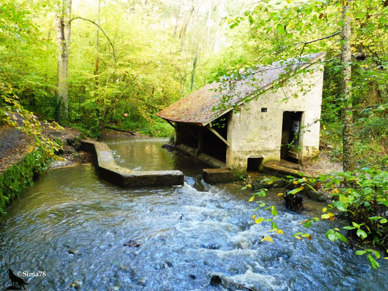 Ancien lavoir en pierre au bord d'un ruisseau en forêt, entouré de végétation dense.
Old stone washhouse by a stream in the forest, surrounded by dense vegetation.
Antiguo lavadero de piedra junto a un arroyo en el bosque, rodeado de vegetación densa.