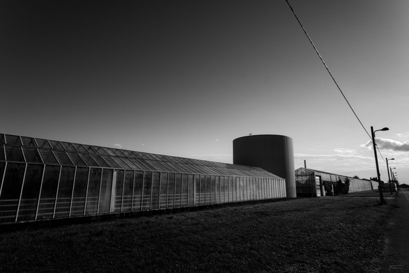 Das Foto zeigt ein großes, langgestrecktes Gewächshaus (oder Glashaus) in Schwarz-Weiß. Das Gewächshaus besteht aus einer Metallkonstruktion mit Glas- oder Kunststoffplatten, die das Sonnenlicht durchlassen. Daneben ist ein großer, zylindrischer Tank oder Silo zu sehen, der vermutlich zur Lagerung von Materialien wie Wasser, Dünger oder Ernteerzeugnissen dient.
Im Hintergrund erkennt man einen klaren Himmel mit einigen Wolken, und die Szene wirkt ruhig und fast industriell. Die Aufnahme ist aus einer niedrigen Perspektive gemacht, was dem Bild eine interessante Tiefe verleiht. Die Schwarz-Weiß-Farbgebung unterstreicht die Strukturen und Kontraste der Gebäude.