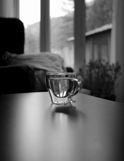 A black and white photograph of a very small, double-walled, clear glass cup containing a clear liquid, resting on a black table in the foreground. Blurred in the background are a dark armchair with a white cushion and a large plant on the floor, in front of a three paneled window. The view overlooks an outdoor courtyard with a gazebo in front of a large conifer and a mountain in the distance.

Photographie en noir blanc d'une très petite tasse en verre transparent à double paroi, contenant un liquide clair et posée sur une table noire à l'avant-plan. Flou en arrière-plan se trouvent un fauteuil foncé avec un coussin blanc et une grosse plante au sol, devant une fenêtre en trois sections. La vue donne sur une cour extérieure avec un gazebo devant un grand conifère et une montagne au loin.