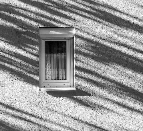 Ein schmales Fenster in einer großen Wand. Viele Schattenstreifen von Bäumen überziehen das Fenster und die Wand. Das Fenster hat eine Gardine die zu ca. 2/3 das Fensterglas bedeckt. Das Foto ist in Schwarzweiß.