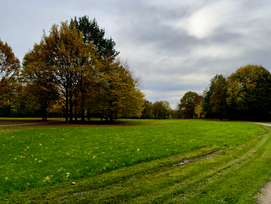A photo of a park with grass and green/orange autumn trees.