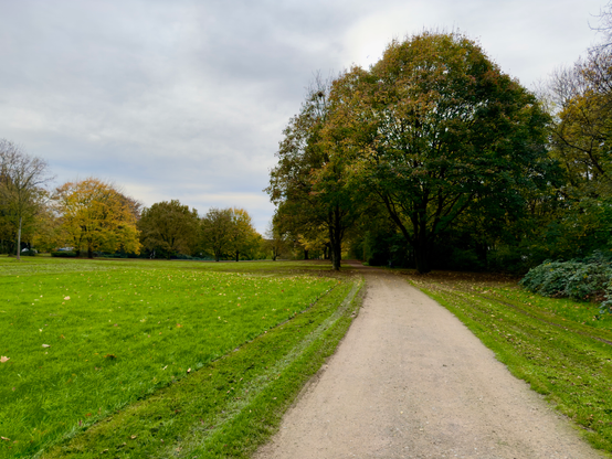 A photo of a walkway in a park wirh grass on both sides and green and orange autumn trees.