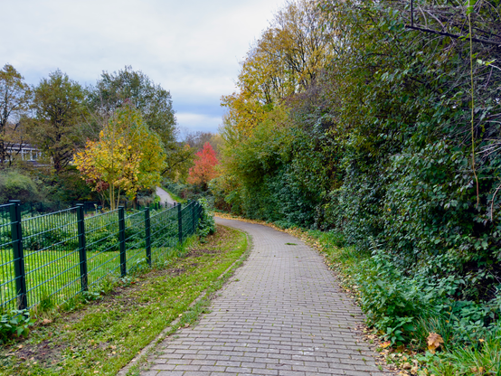 A photo of a walkway. On the left a fenced grass area for dogs. On the right are green bushes and trees. Ahead are green/orange autumn trees.