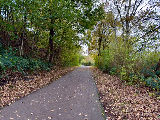 A photo of a wallway at the end of a small forest towaeds a railway line. Autimn leaves lying next to the walkway. Left and right are green and orange autumn trees.