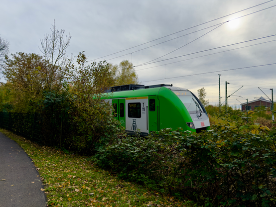 A photo of a green ruhr area commuter train behind green bushes.