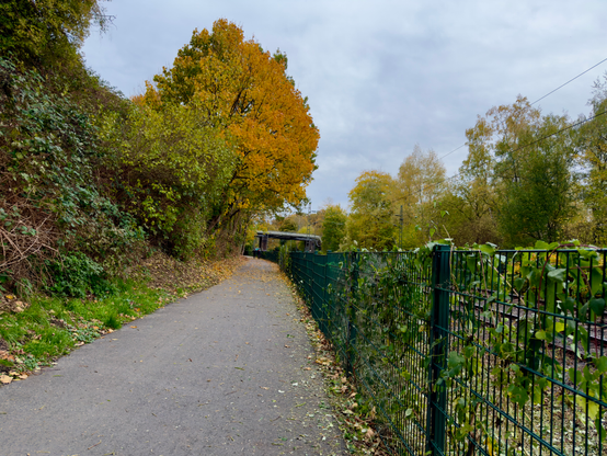 A photo of a walkway next to a railway track. On the right a fence with the railway track behind it. On the left some green bushes and trees. An orange autumn tree can be seen ahead.