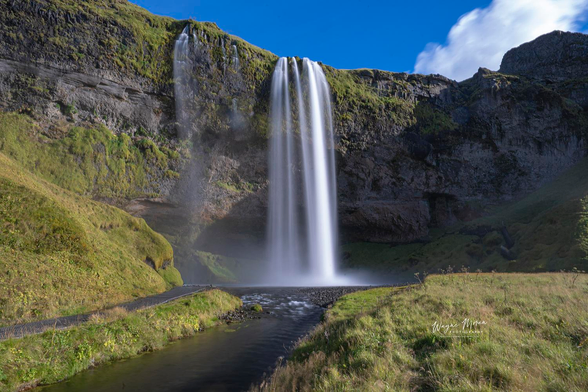 
Do you love waterfalls as much as I do?  

Then Iceland is the place for you!

Seljalandsfoss Waterfall – Morning Light and Majestic Flow

In this image, the iconic Seljalandsfoss Waterfall stands bathed in crisp morning light, its silken flow cascading gracefully from the ancient cliffs of Iceland’s southern coast. The clarity of the blue sky and the lush green slopes frame the waterfall perfectly, revealing the contrast between soft mist and rugged rock. The tranquil river in the foreground leads the viewer’s eye toward the base of the falls, creating a sense of calm and wonder.

Seljalandsfoss drops about 60 meters (197 feet) from the edge of an ancient sea cliff, where the Seljalandsá River, fed by the Eyjafjallajökull glacier, plunges into the valley below. A footpath winds close to the falls and even behind them, offering visitors one of the most unique waterfall experiences in the world.

Captured in perfect light, this photograph celebrates the timeless elegance and raw natural beauty that make Seljalandsfoss one of Iceland’s most photographed and unforgettable landmarks.

Image:
https://fineartamerica.com/featured/seljalandsfoss-waterfall-morning-light-and-majestic-flow-wayne-moran.html

Read more:
https://waynemoranphotography.com/blog/chasing-light-across-iceland-our-21-day-adventure/

#Seljalandsfoss #Waterfall #Iceland #travelPHotogrpahy #Landscape #art #fineart 

#ayearforart #buyintoart
