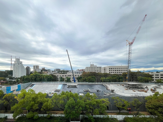 Vista desde el Departamento. Hay un par de grúas y un rectángulo de hormigón rodeado de árboles. Hasta hace poco, toda esta zona era un parque... Una lástima. Al menos me contaron que la cubierta será un parque. Vamos, que en realidad seguirá habiendo los mismo árboles, etc, pero ahora estarán en un segundo o tercer piso. Veremos.