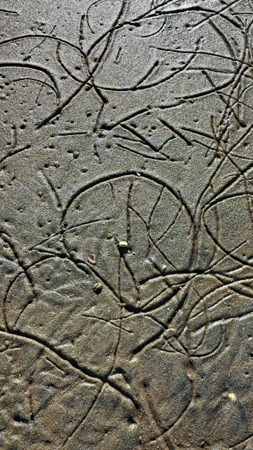 motifs aléatoires créé par des crustacés dans le sable

