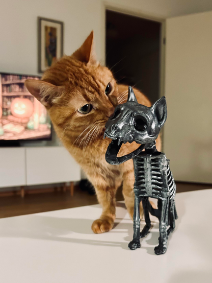 An orange cat curiously sniffs a black skeleton figure of a cat on a white table, with a softly lit background featuring a TV and a door.
