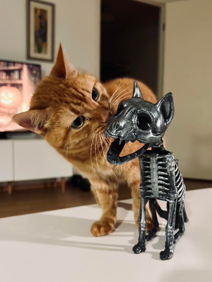 An orange cat curiously sniffs a black skeleton figure of a cat on a white table, with a softly lit background featuring a TV and a door.