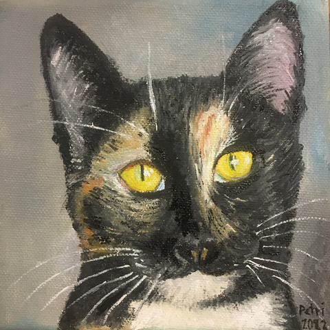 Öljyvärimaalaus kissasta nimeltä Cookie. "Kilpikonnaväritys", kirkkaat keltaiset silmät.