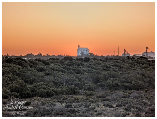 A wide angle landscape photo taken at sunset. The sky is a gradient of soft orange and yellow, silhouetting the horizon.

In the middle distance, a bright white grain silo and other industrial structures stand above a thick band of dark green and grey-brown Australian native scrub and low-lying vegetation in the foreground.