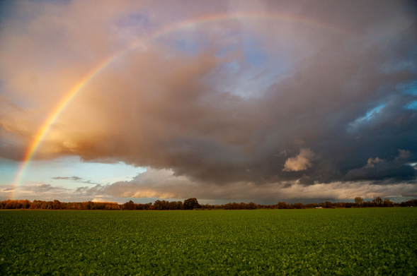 Ein wechselnd bewölkter Himmel mit Lücken in der Wolkendecke, durch die der blaue Himmel zu sehen ist. Von links unten nach rechts oben geht ein Regenbogen. 
Im unteren Teil des Bildes ist eine grüne Wiese. Und im Hintergrund sind Bäume zu sehen.