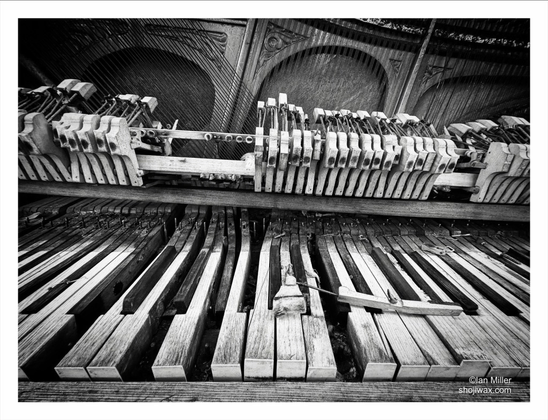 Close up Black and white photo of an old piano. With broken keys and a ruined soundboard.