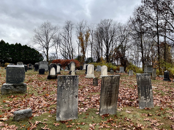 Photograph of weathered gravestones with fallen leaves and bare trees in the background on a cloudy, overcast day.