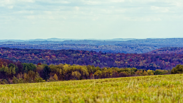 At the bottom is a grassy field cut a bit less than a foot high,  and above it progressively more distant hillsides covered with a variety of dark green evergreen trees as well as deciduous trees in various shades of light green, yellow, orange, red and grey