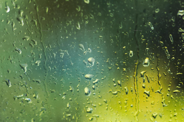 Drops, closeup, color, photo