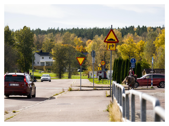 En liggande bild på en gata med ett par bilar. Från höger kommer en annan gata där en bil väntar. På väg mot övergångsstället är en flicka ridande på en häst. I bakgrunden en vitt hus och en skog i höstfärger.